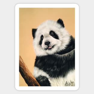 Panda Bear Cub Sticker